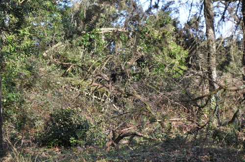 DSC_1504.JPG DSC_1504.JPG