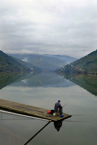 Blogue_paisagem19e_Pinhão2016.jpg Blogue_paisagem19e_Pinhão2016.jpg