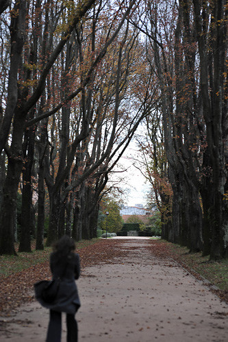 Blogue_ruas5_Serralves2011_v2.jpg