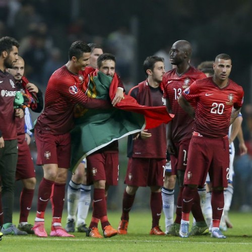 moutinho embrulhado.jpg