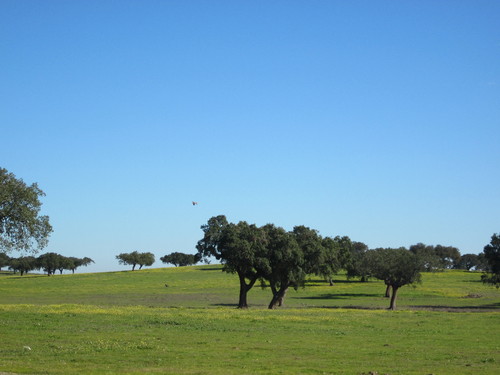 alentejo 003.jpg