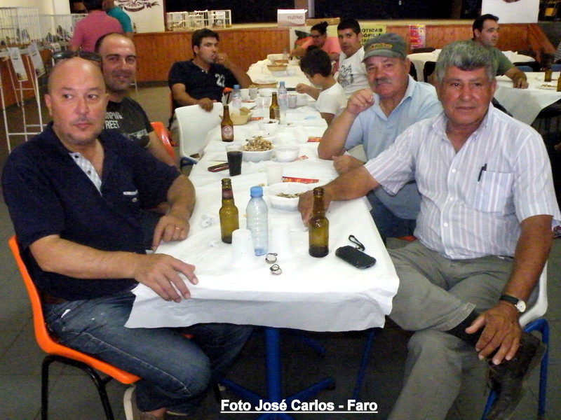 Leilão Ervidel 035.JPG Leilão Ervidel 035.JPG