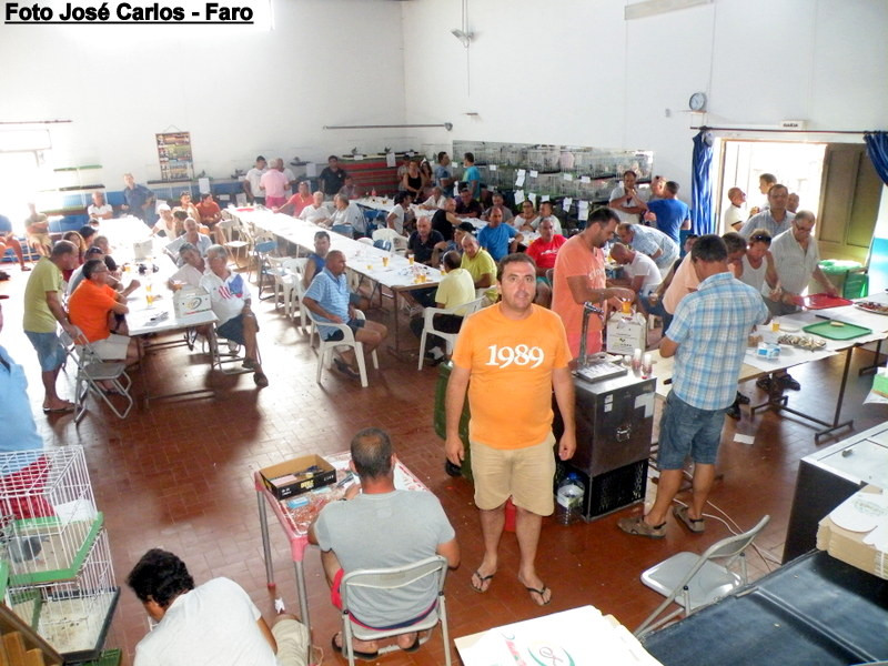 Leilão Altura 2016 021.JPG Leilão Altura 2016 021.JPG
