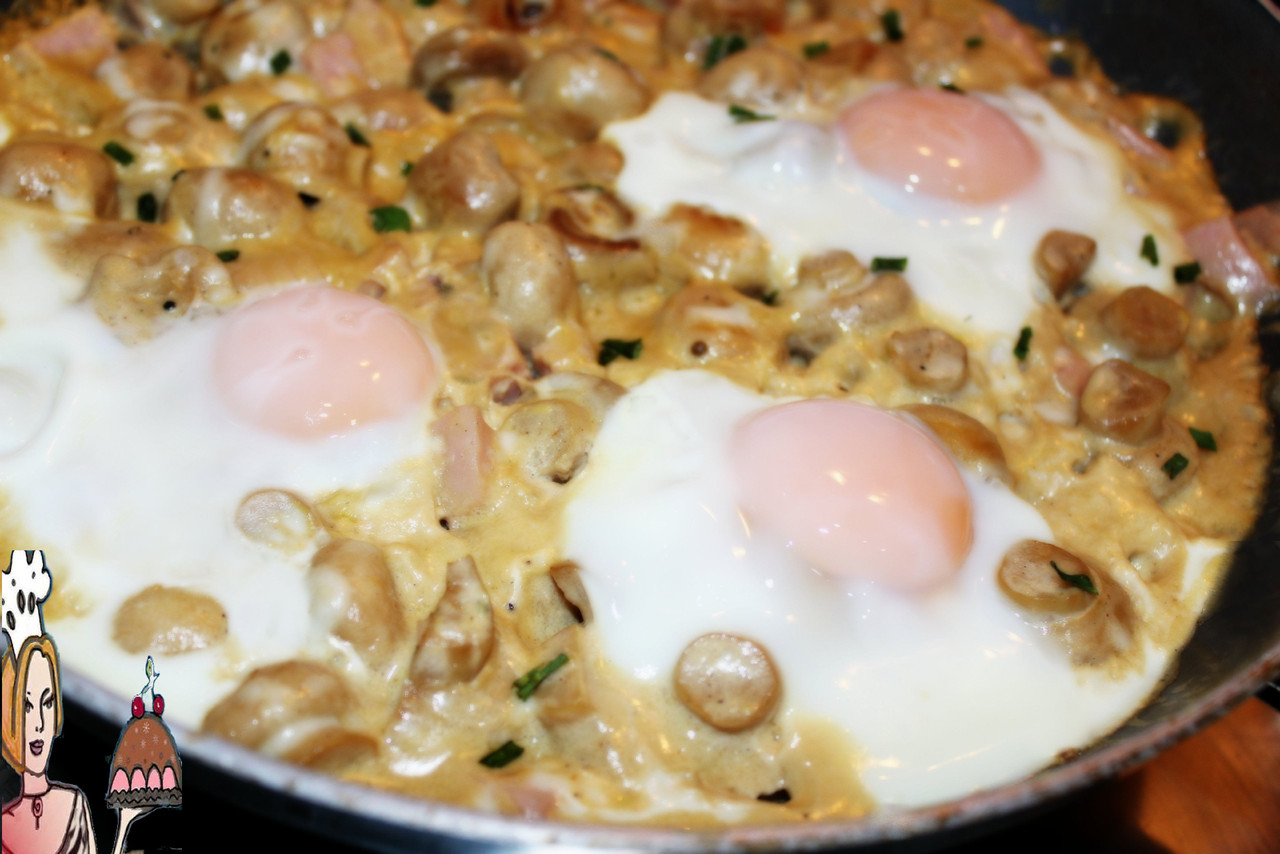 cogumelos.jpg cogumelos.jpg