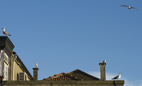 Blogue_ruas2_Porto2009.jpg Blogue_ruas2_Porto2009.jpg