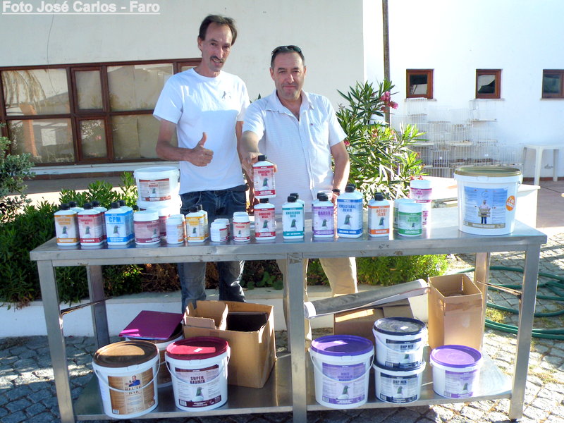 Leilão Castro Verde 020.JPG Leilão Castro Verde 020.JPG